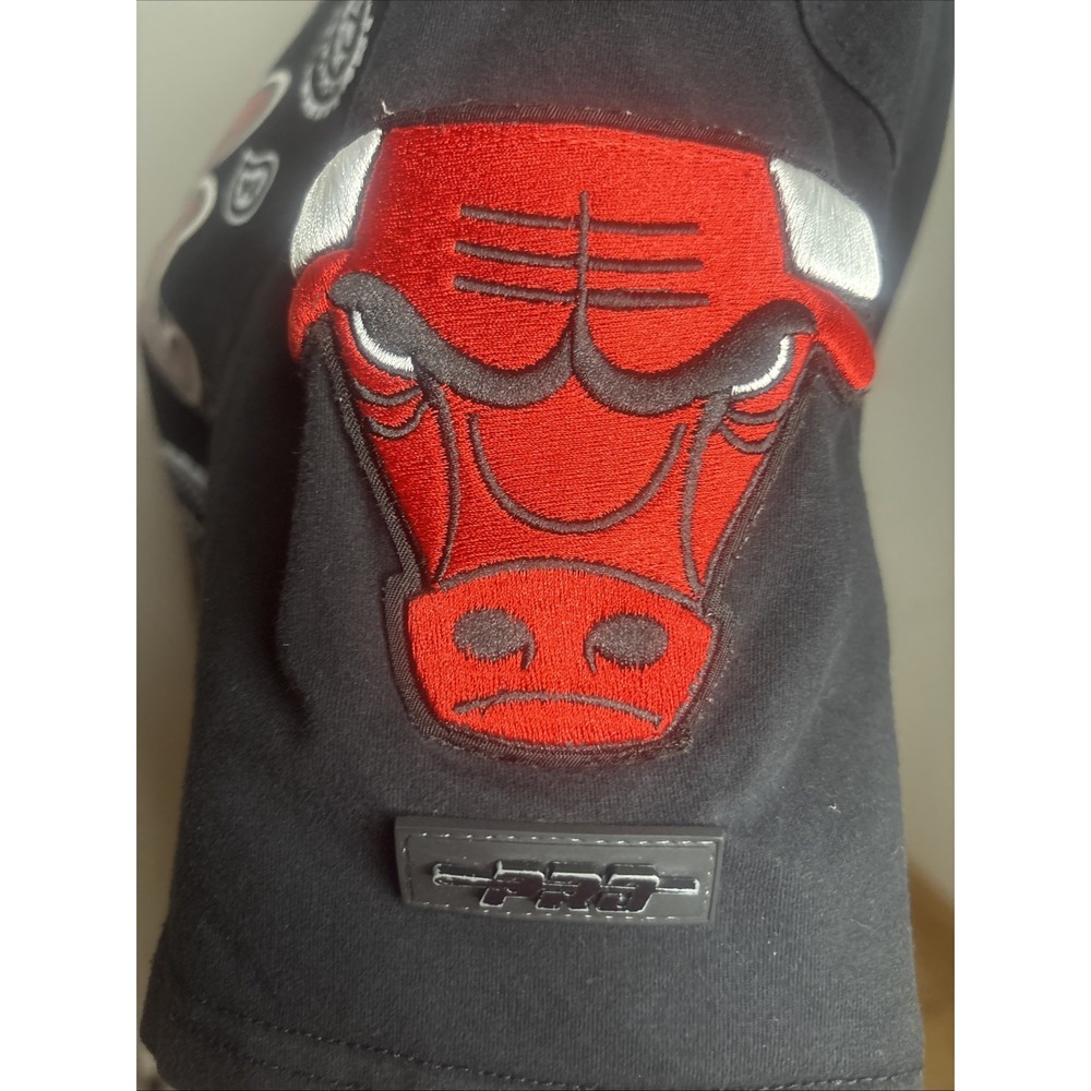 Chicago Bulls Paisly Shirt NBA Embroidered Urban Wear - Picture 5 of 6